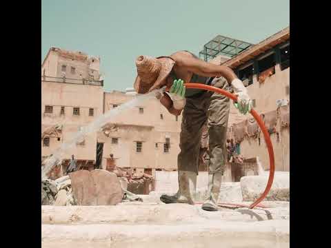 Dar Dbagh