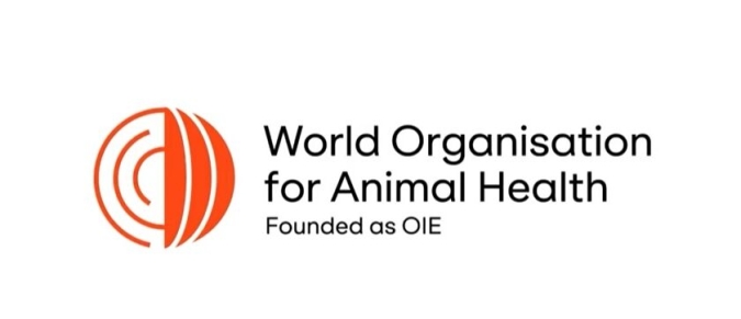 Asamblea Mundial de la OMSA: Marruecos aboga por una acción colectiva reforzada en favor de la sanidad animal