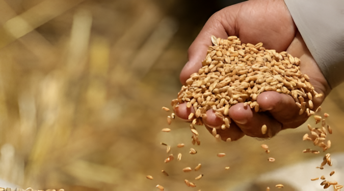 2e bilan du Sommet sur les systèmes alimentaires: Le Maroc appelle à la création d'un Fonds international dédié à la sécurité alimentaire en Afrique