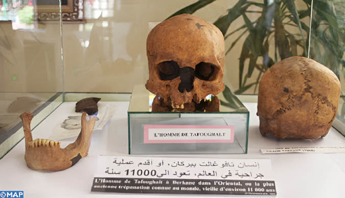 Le Musée universitaire d'Oujda, un véritable voyage à travers l'histoire et le patrimoine de l'Oriental