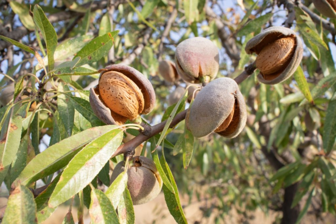 Taza : Lancement de nouveaux projets pour soutenir l’entrepreneuriat rural et la valorisation des produits du terroir