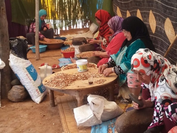 Tinghir: Forte impulsion de l’INDH en faveur de l’économie sociale et solidaire