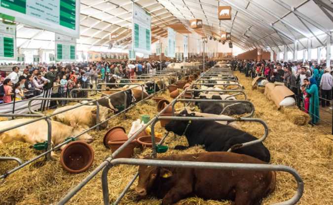 SIAM 2026 : la production animale au centre des priorités agricoles nationales