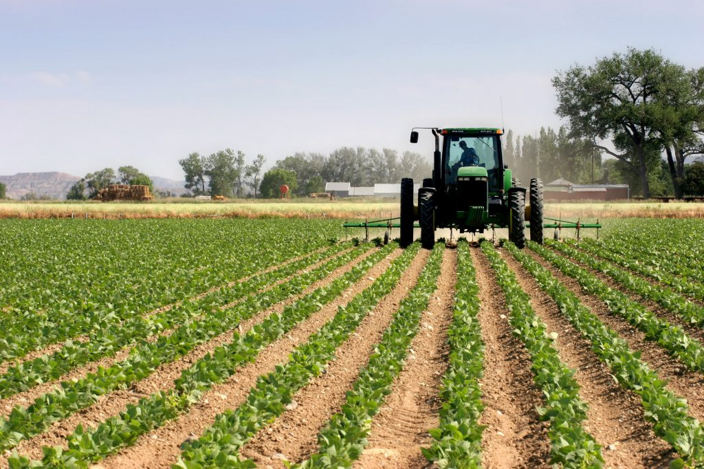 agri_1.png agri_1.png