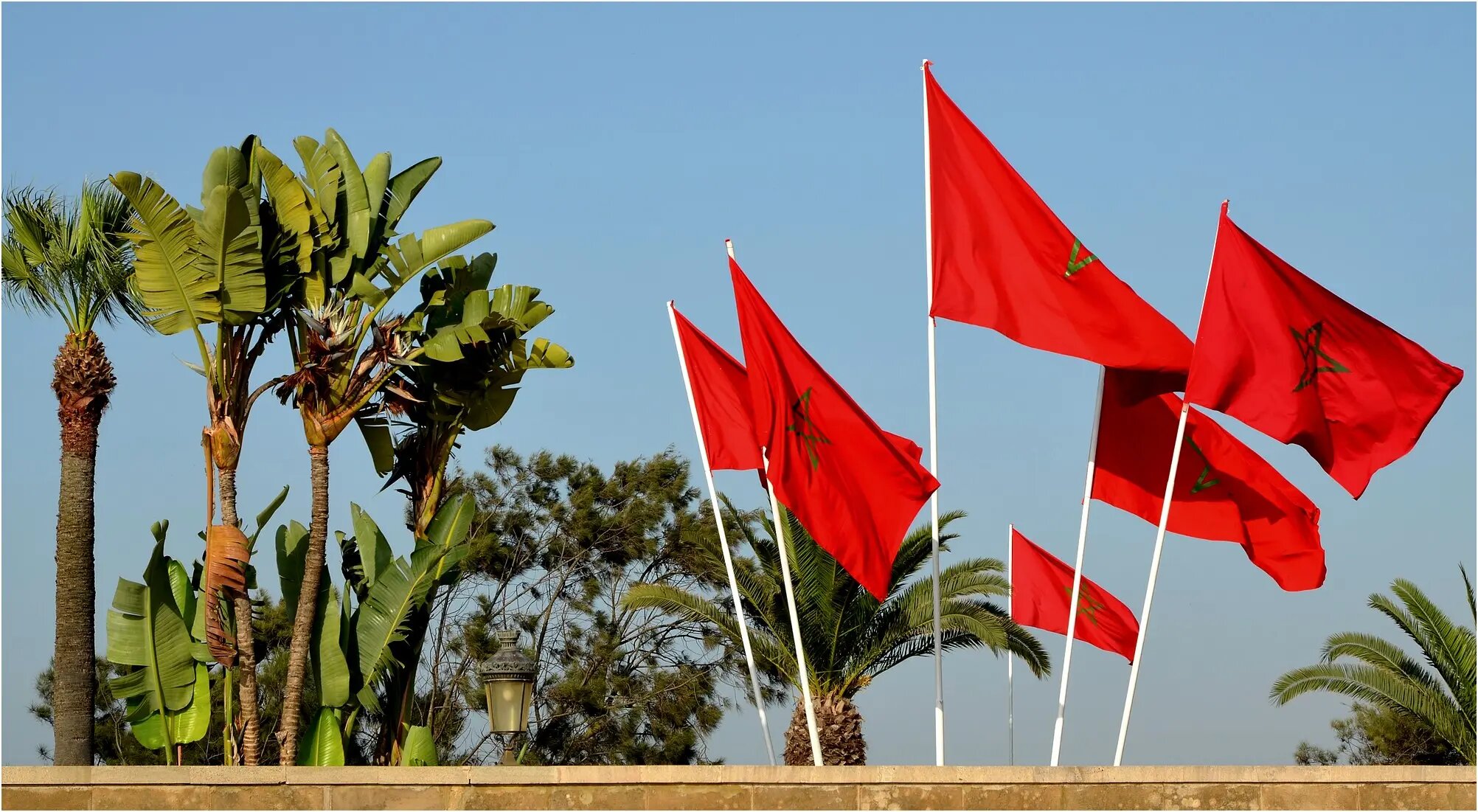 morocco_7.jpg morocco_7.jpg