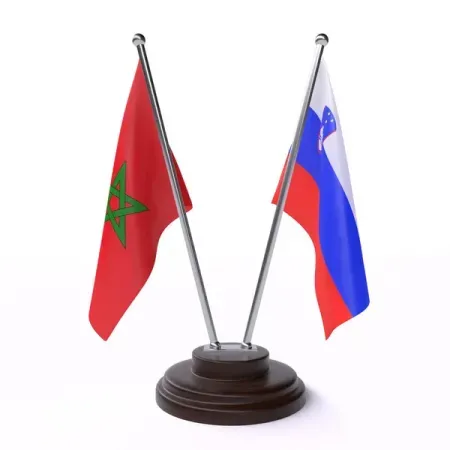 Morocco, Slovenia Reaffirm Determination to Strengthen Partnership in All Areas of Common Interest