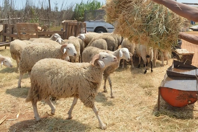 maroc