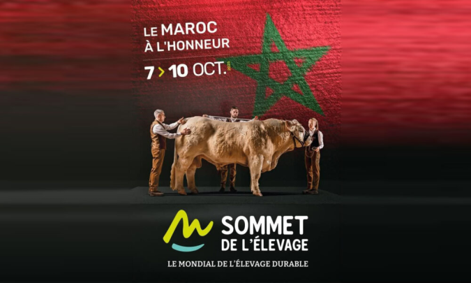 maroc