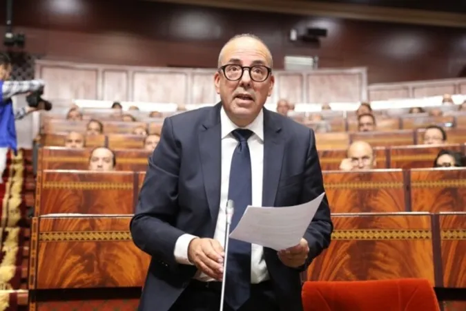 El Plan Marruecos Verde ha transformado profundamente la agricultura marroquí 