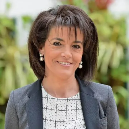 French Senate Official Praises Morocco's 'Remarkable' Momentum in Renewables