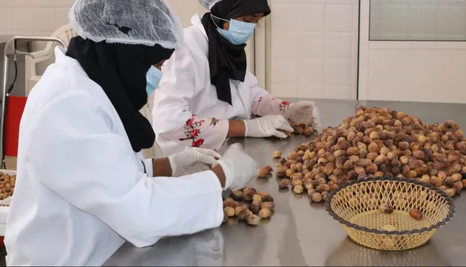 المبادرة الوطنية للتنمية البشرية بإقليم طاطا.. دعم متواصل للاقتصاد الاجتماعي والتضامني وخلق فرص الشغل