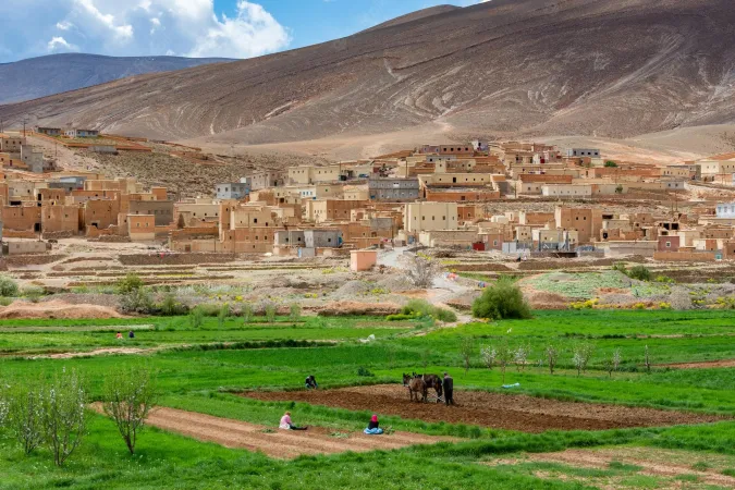 Le PLF-2026 renforce le développement rural intégré avec le lancement de 36 centres pilotes pour 2,8 MMDH
