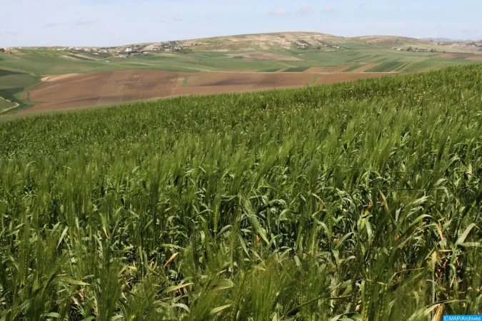 الفلاحة الإيكولوجية .. التوقيع بالرباط على ست اتفاقيات شراكة لمواكبة الاستغلاليات الفلاحية الصغيرة