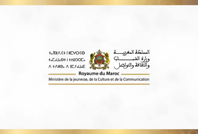 النهوض بالمؤسسات الشبابية وتأهيلها في صلب عمل وزارة الشباب والثقافة والتواصل
