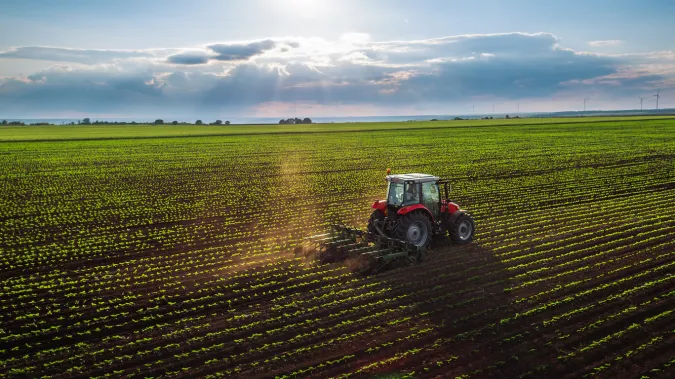 DEPF : les perspectives d’une meilleure campagne agricole 2025-2026