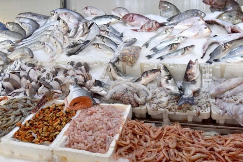 مبادرة "الحوت بثمن معقول" تشهد إقبالا كبيرا من خلال تسويق 2150 طنا من الأسماك المجمدة