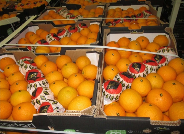image Actualité 4
