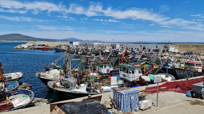 Économie bleue/Soutien aux coopératives : le secrétariat d'Etat chargé de la pêche maritime lance un appel à manifestation d'intérêt