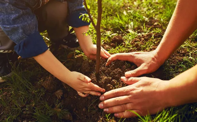 Marrakech-Safi: Lancement d’une campagne régionale de plantation de 5.000 arbres au sein des centres de jeunesse