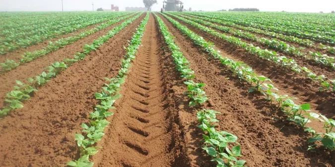 Agriculture : la campagne 2025-2026 marque un rebond significatif de la production et des ressources hydriques